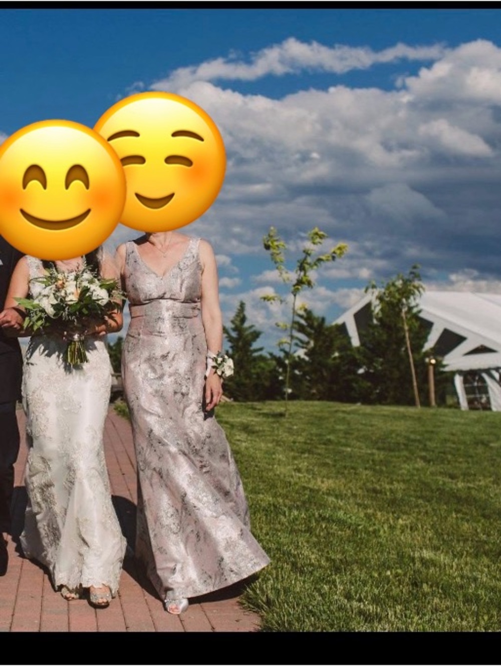 Theia Blush Pink Metallic Maxi Gown - Picture 3 of 8